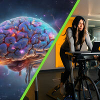 Se sabe que la bicicleta estática tiene enormes beneficios, pero existe uno que sorprendió a la ciencia: es capaz de mejorar la memoria 