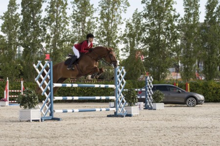 Video: Inusual competencia entre un caballo y un León…de SEAT
