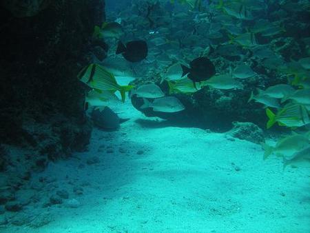 Museo subacuático en Cancún