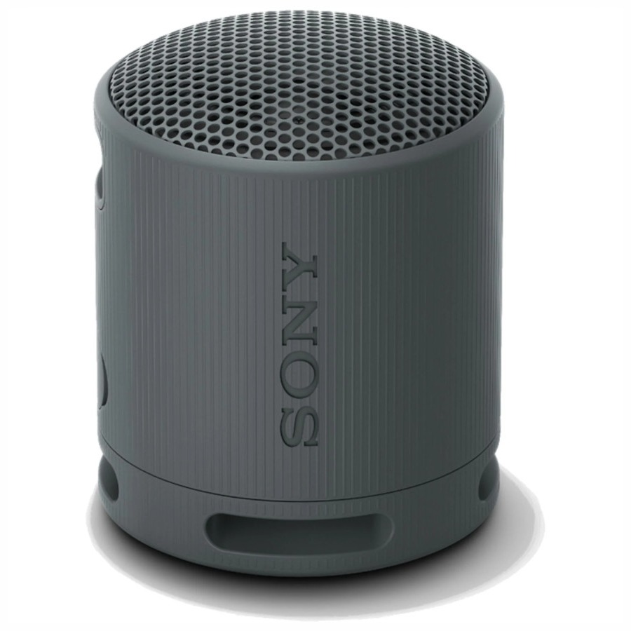 Sony SRS-XB100