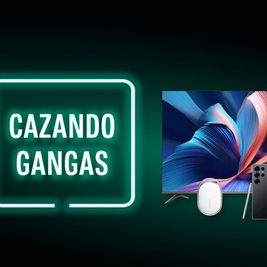 Cazando Gangas