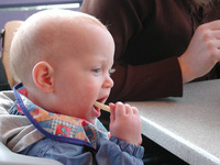 Errores en las hojas de alimentación complementaria del pediatra: marcar unos horarios estrictos