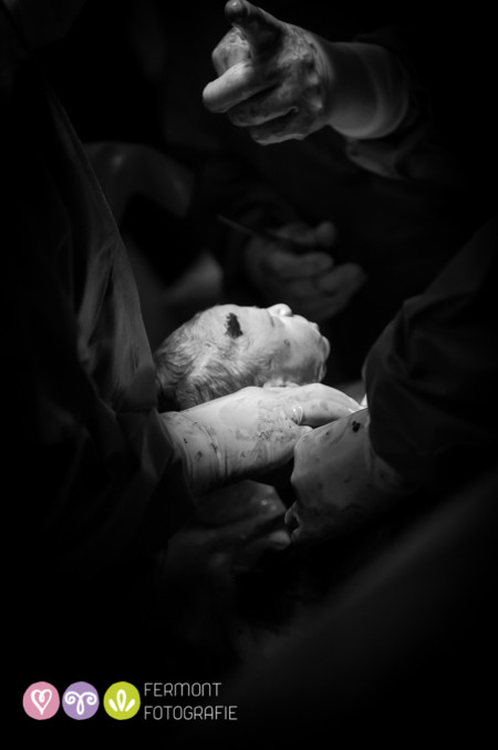 013 Head Born Fermont Fotografie