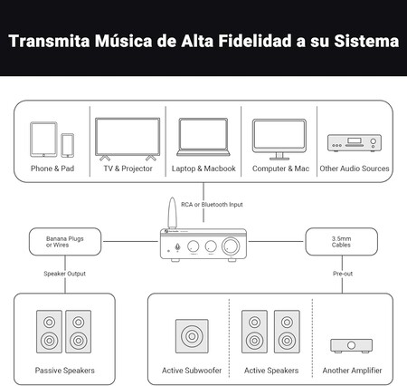 Amplificador