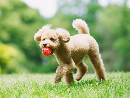 Post De Facebook Frase Acuarela Azul 1200 X 900 Px 2