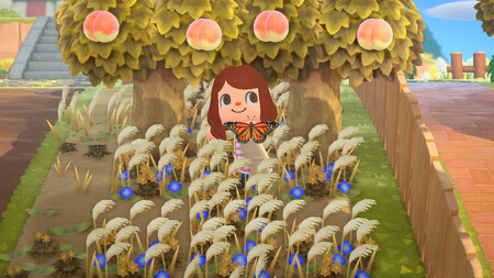 Los insectos, peces y criaturas marinas de Animal Crossing: New Horizons que desaparecen en noviembre