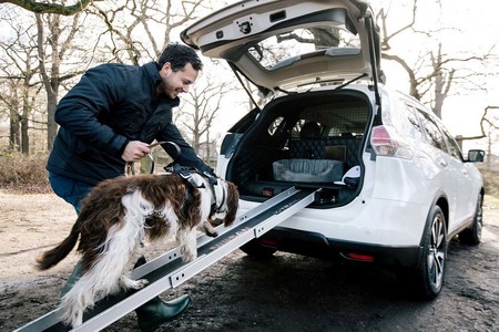 Nissan X-Trail 4Dogs, el crossover donde tus mascotas adorarán pasear
