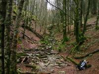 El GR 11 - La ruta de los Pirineos: Diario del Viajero se pone las botas
