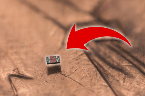 Más pequeños que un grano de sal: científicos crean los robots autónomos y programables más diminutos del mundo