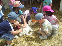 Vacaciones de verano infantiles, los campamentos son una buena opción