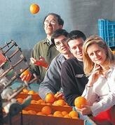 ¿Los distribuidores se forran o son muy ineficientes?
