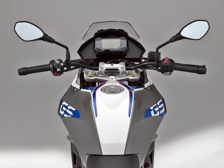 Bmw G 310 Gs 10