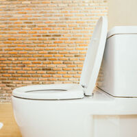 Por qué los japoneses, expertos en inodoros, aconsejan no limpiar nunca el asiento con papel higiénico 