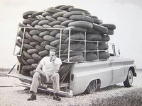 Europa y sus leyes absurdas, la enésima ley que se proponen