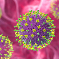 Medicamento desenvolvido pela China para tratar a Covid-19 pode virar uma arma de combate contra o vírus Nipah  