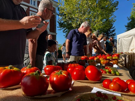 Feria nacional del tomate antiguo