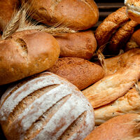 Cómo elegir el pan más saludable para la familia y para tu bebé, según una nutricionista
