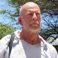 Bruce Willis (71 años) tenía 3 hectáreas en el Caribe en su propiedad y construyó un complejo de lujo que vendió por 27 millones de dólares 
