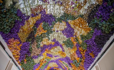 Rebecca Louise, la artista que crea ramos florales en el techo