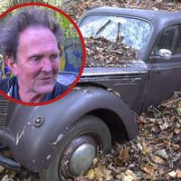Um milionário deixou 50 Porsches, Mercedes e Rolls-Royces clássicos em uma floresta para apodrecerem; agora, são “obras de arte” pelas quais ele cobra uma fortuna