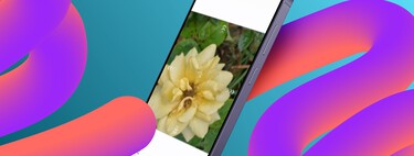 Si te gustan las fotos con Live Effect, lo próximo que llega con One UI 8 te va a encantar 