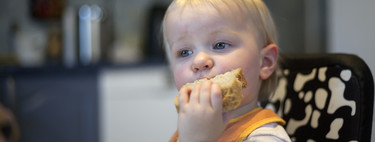 Los cereales en la alimentación infantil: la cebada y el centeno