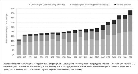 Obesidad Infantil Espana
