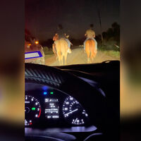 Esta historia es lo más texano que vas a ver hoy: un duelo entre un repartidor y tres vaqueros en la carretera