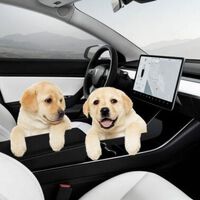 Nunca dejes a tu perro dentro de un coche, y menos en un Tesla: el Modo Perro no funciona