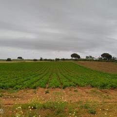 image01