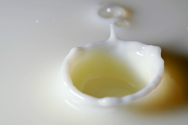 Los diferentes tipos de leche sin lactosa que podemos disfrutar