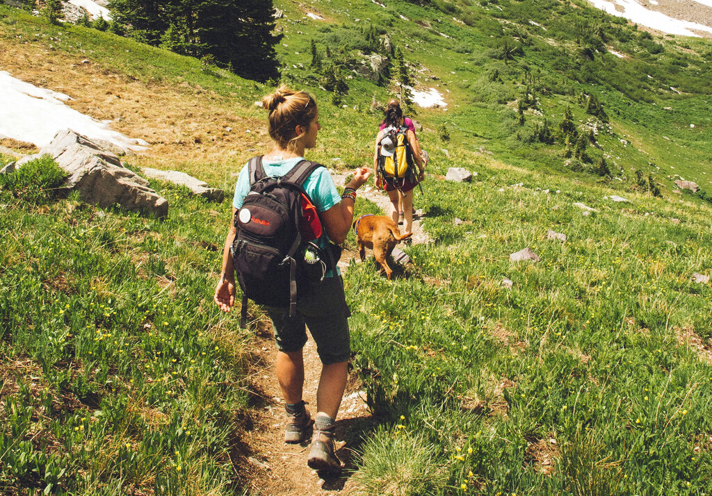 Las mejores zapatillas Merrell para realizar senderismo este verano son transpirables y se encuentran a mitad de precio en Decathlon