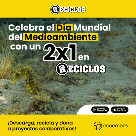 Dia Mundial Medioambiente 3