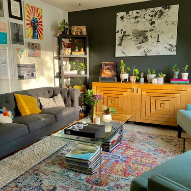 Lidl lanza la planta tropical resistente y fácil de cuidar ideal para dar color a tu salón por menos de 4 euros 