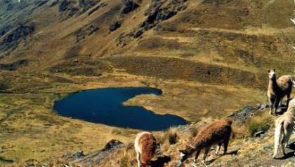 Ruta a Machu Picchu. Otra alternativa al Camino del Inca.