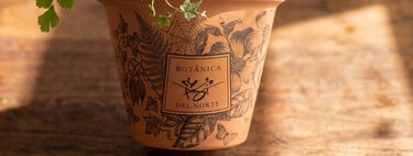 Cómo transferir diseños a tus macetas de barro fácil y rápido para personalizarlas y que se vean bonitas