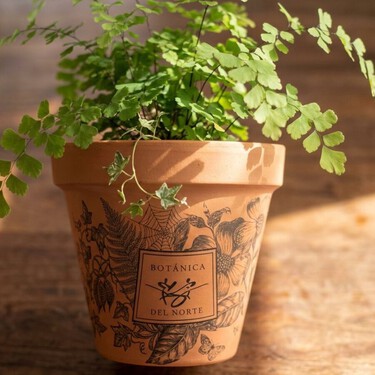 Dale vida a tu jardín: cómo personalizar macetas de barro con técnicas sencillas que cualquiera puede hacer