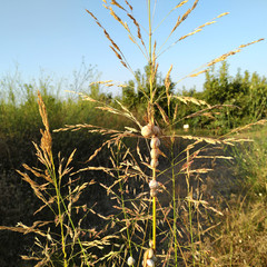 Foto 8 de 34 de la galería asus-zenfone-ar en Xataka