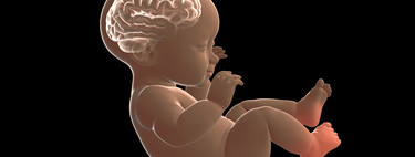 Así se decide la salud de nuestro cerebro antes y después de nacer