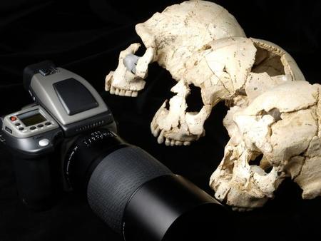 Los nuevos restos arqueológicos de Atapuerca fotografiados con Hasselblad