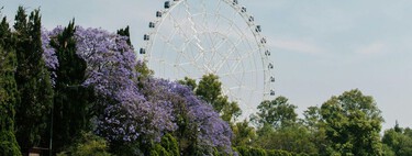 No te pierdas estas actividades en Chapultepec durante el puente de marzo: comer, pasear y disfrutar