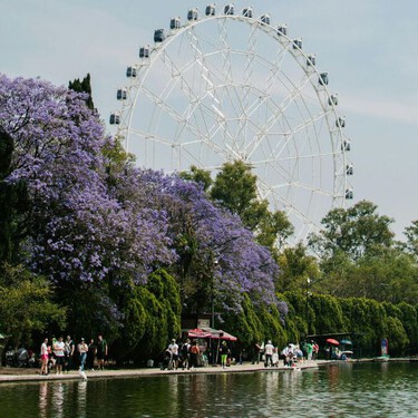 Planes en Chapultepec para el puente de marzo: qué hacer, ver, comer y disfrutar en el bosque