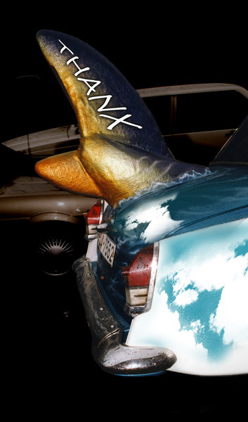 Volga Whalewatch Penisguard