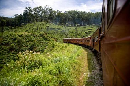 La experiencia de viajar en tren por las Tierras Altas de Sri Lanka 