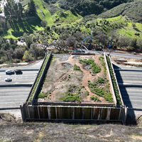 Custou R$100 milhões e nenhum humano pode usar: a megaestrutura que a Califórnia construiu sobre uma rodovia movimentada 