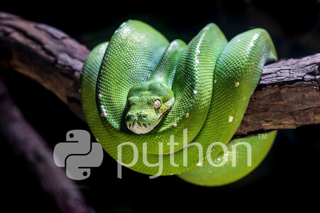 Free Python Books: la lista definitiva de libros gratis para desarrolladores que quieren aprender Python