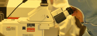 El as bajo la manga de Estados Unidos contra China es una máquina holandesa que cuesta 300 millones de dólares para fabricar chips de última generación 