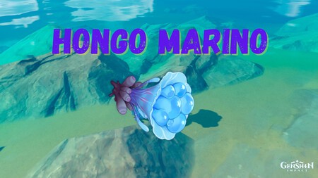 Guía de Genshin Impact: dónde encontrar Hongo marino y para qué sirve