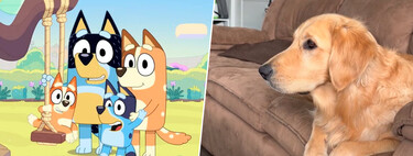 Si tu perro se queda mirando 'Bluey' no es casualidad: sus creadores calcularon al milímetro cómo colorearla