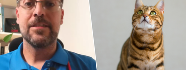 Juanjo, veterinario: "Según los últimos estudios, tu gato te entiende mejor si le hablas como si fuera un bebé" 